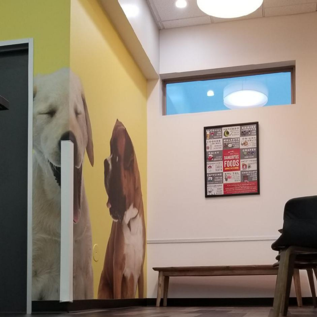 Veterinary Hospital Waiting Room